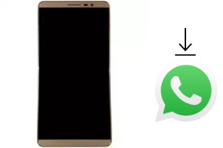 Come installare WhatsApp su Himax H51I