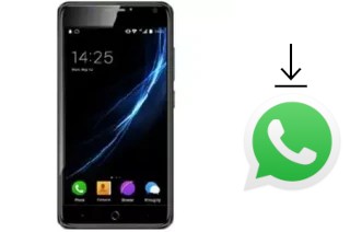 Come installare WhatsApp su Himax M21