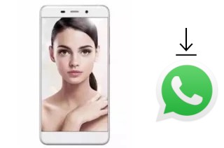 Come installare WhatsApp su Himax M21S