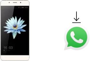 Come installare WhatsApp su HiSense C1