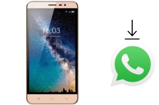 Come installare WhatsApp su HiSense F23