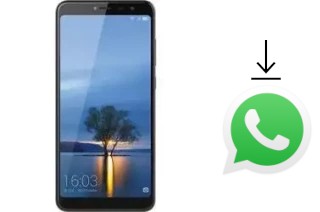 Come installare WhatsApp su HiSense Infinity H11 Lite