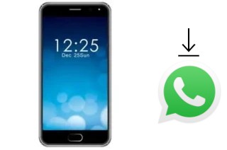 Come installare WhatsApp su Hocom Classic 3