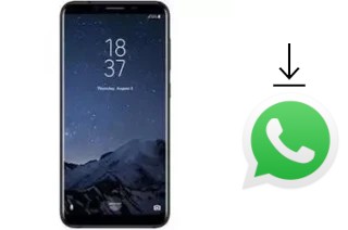 Come installare WhatsApp su HomTom R17