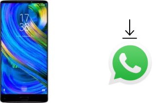 Come installare WhatsApp su HomTom S9 Plus