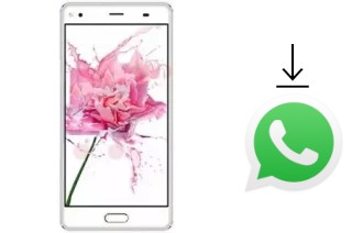 Come installare WhatsApp su Hotwav Cosmos V19