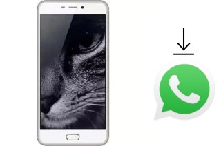 Come installare WhatsApp su Hotwav Cosmos V21