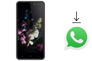 Come installare WhatsApp su Hotwav Cosmos V811