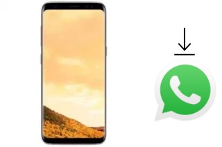Come installare WhatsApp su Hotwav I8009