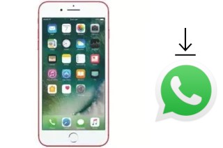 Come installare WhatsApp su Hotwav IP6 Plus