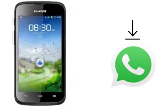 Come installare WhatsApp su Huawei Ascend P1 LTE