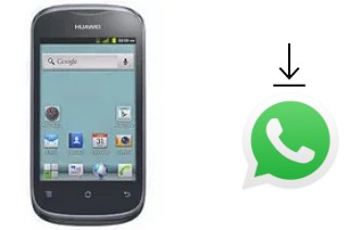 Come installare WhatsApp su Huawei Ascend Y