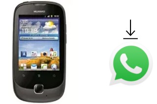 Come installare WhatsApp su Huawei Ascend Y100