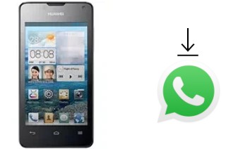 Come installare WhatsApp su Huawei Ascend Y300