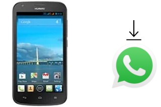 Come installare WhatsApp su Huawei Ascend Y600