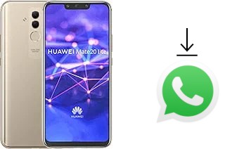 Come installare WhatsApp su Huawei Mate 20 lite