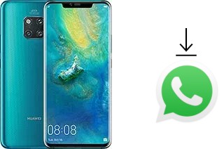 Come installare WhatsApp su Huawei Mate 20 Pro