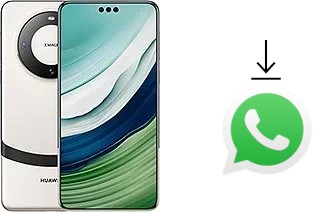 Come installare WhatsApp su Huawei Mate 60 Pro+