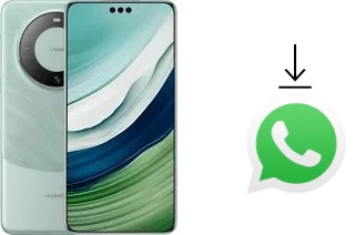 Come installare WhatsApp su Huawei Mate 60 Pro