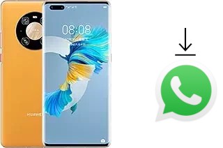 Come installare WhatsApp su Huawei Mate 40 Pro