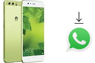 Come installare WhatsApp su Huawei P10 Plus