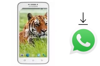 Come installare WhatsApp su Hyundai Tiger V2