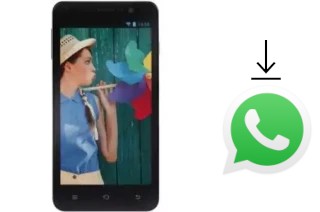 Come installare WhatsApp su iBold XL5