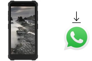 Come installare WhatsApp su IIIF150 H2022