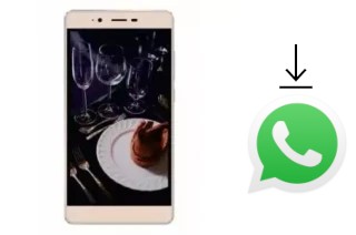 Come installare WhatsApp su Iku Zeus Z55I