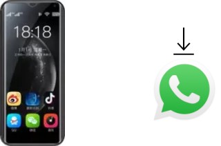 Come installare WhatsApp su iLA R17