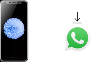 Come installare WhatsApp su iLA X