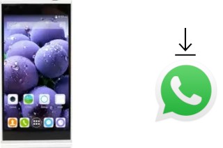 Come installare WhatsApp su iNew L1