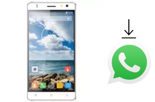 Come installare WhatsApp su Infone Extreme 5