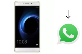 Come installare WhatsApp su Infone Extreme Maxi
