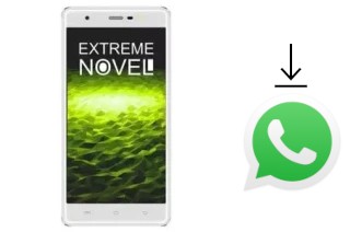 Come installare WhatsApp su Infone Extreme Novel