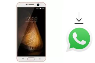 Come installare WhatsApp su Infone X-Cite Gorilla 8