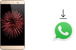 Come installare WhatsApp su InnJoo Fire2 LTE