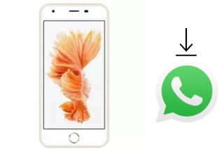 Come installare WhatsApp su Inovo I471