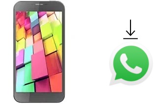 Come installare WhatsApp su Intex Aqua 4G+