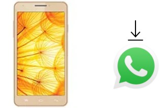 Come installare WhatsApp su Intex Aqua Xtreme II