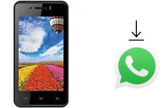 Come installare WhatsApp su Intex Aqua Y2 Remote