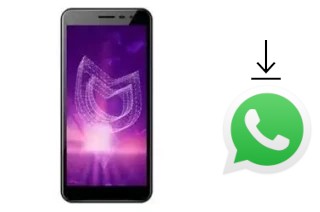 Come installare WhatsApp su Irbis SP493