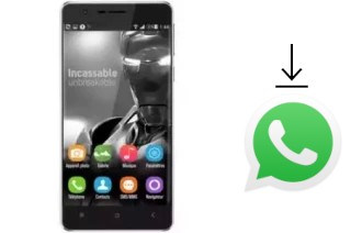 Come installare WhatsApp su Iris Vox Fortis