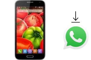 Come installare WhatsApp su Jiake G900W