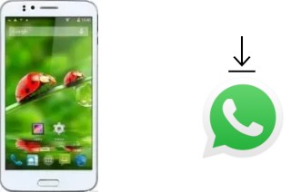 Come installare WhatsApp su Jiake JK720