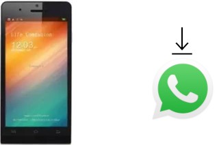 Come installare WhatsApp su Jiake P6