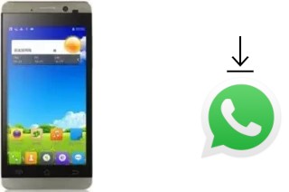 Come installare WhatsApp su JiaYu G3C