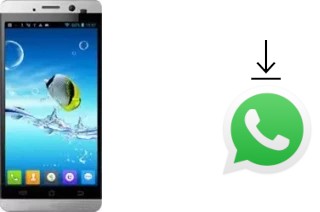 Come installare WhatsApp su JiaYu G3S