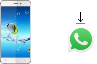 Come installare WhatsApp su JiaYu S2 Basic