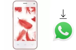 Come installare WhatsApp su Jivi AI3